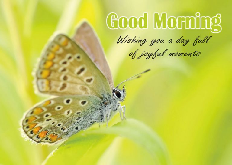 Good Morning Quotes Free Download - Good Morning Images, Quotes, Wishes