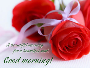 Flower Good Morning Photo For Lover With Quotes - Good Morning Images ...
