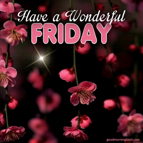 download & share Best Have A Wonderful from Good Morning Friday Images ...