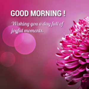 Morning Wishes For Someone Special - Good Morning Images, Quotes ...