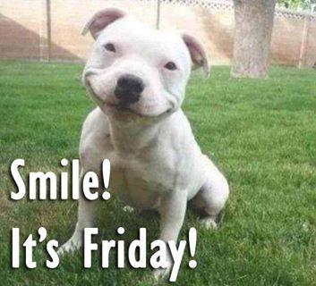 Smile It Is Friday Best Funny Good Friday Pics - Good Morning Images,  Quotes, Wishes, Messages, greetings & eCards