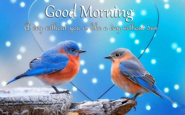 Cool Good Morning Love Status Images - Good Morning Images, Quotes, Wishes, Messages, greetings & eCards