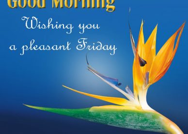Good Morning Friday Wishes Images - Good Morning Images, Quotes, Wishes, Messages, greetings & eCards