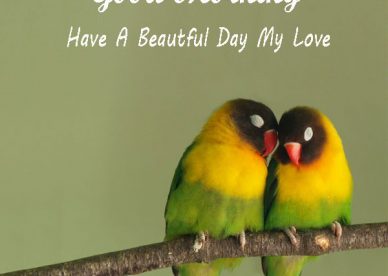 Good Morning Have A Beautiful Day My Love Birds Wishes Images - Good Morning Images, Quotes, Wishes, Messages, greetings & eCards