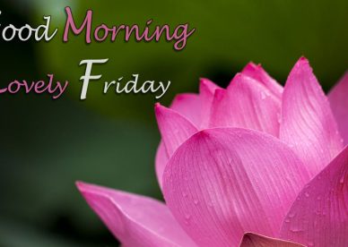 Good Morning Lovely Friday - Good Morning Images, Quotes, Wishes, Messages, greetings & eCards