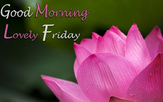 Good Morning Lovely Friday - Good Morning Images, Quotes, Wishes, Messages, greetings & eCards