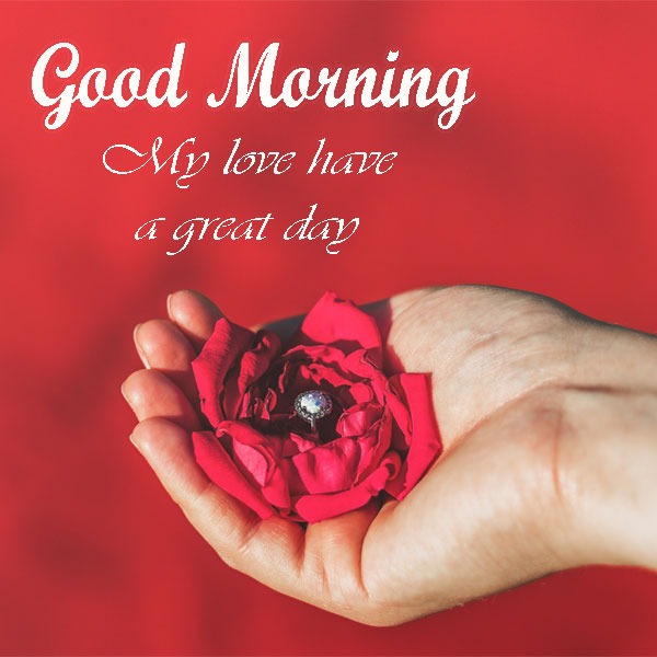 Good Morning My Love Wishes With Flower Pics Good Morning Images Quotes Wishes Messages