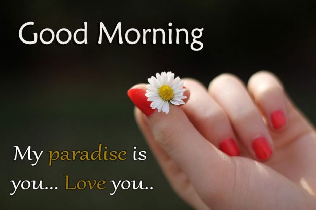 Good Morning Wonderful Love Images - Good Morning Images, Quotes, Wishes, Messages, greetings & eCards