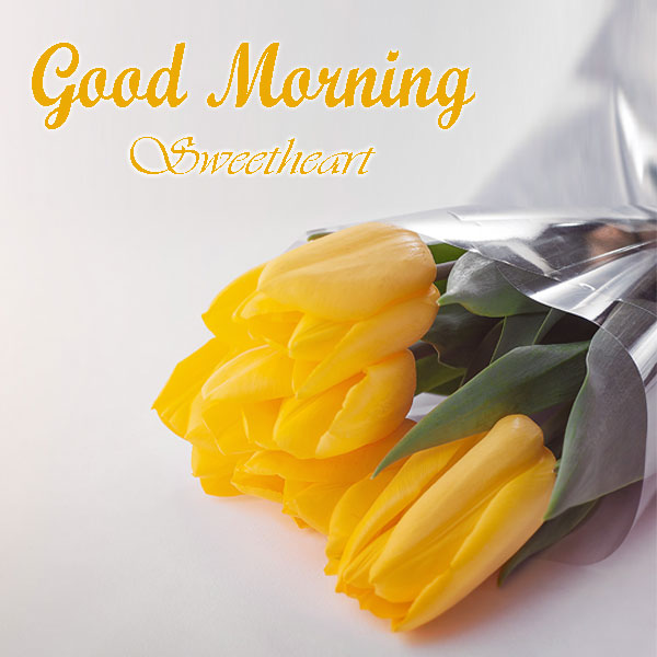 Good Morning Sweetheart Rose Images For Facebook - Good Morning Images, Quotes, Wishes, Messages, greetings & eCards