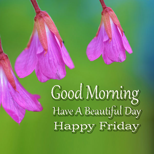 Featured image of post Good Morning Happy Friday Messages