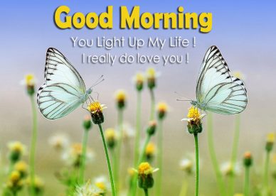Good Morning You Light Up My Life - Good Morning Images, Quotes, Wishes, Messages, greetings & eCard