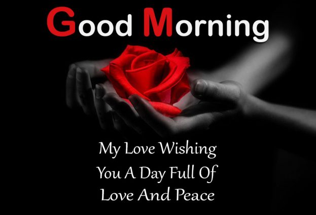 Featured image of post Good Morning My Love Images And Quotes - Good morning messages might make them fall more in love and it's just an adorable way to remind them how much you love them.