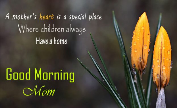 Sweet Good Morning Wishes For Mom - Good Morning Images, Quotes, Wishes, Messages, greetings & eCard