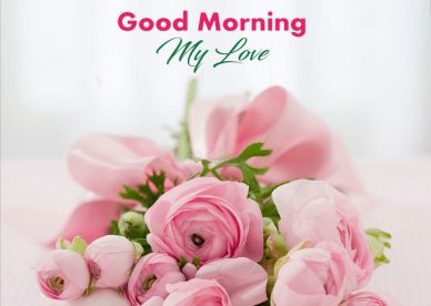 Wonderful Good Morning My Love Pic - Good Morning Images, Quotes, Wishes, Messages, greetings & eCard