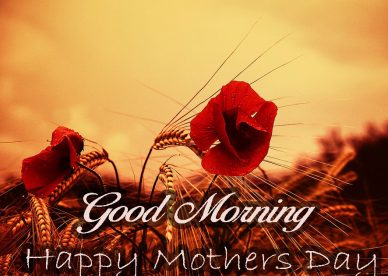 Good Morning Happy Mothers Day - Download Good Morning Wishes With Birds Images - Good Morning Images, Quotes, Wishes, Messages, greetings & eCard