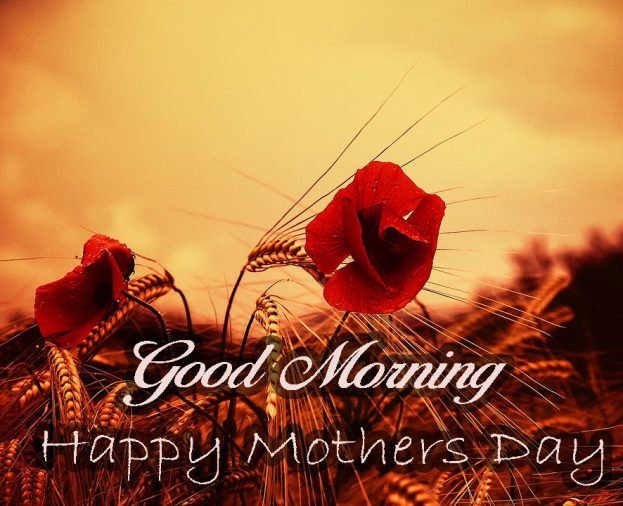 Good Morning Happy Mothers Day - Download Good Morning Wishes With Birds Images - Good Morning Images, Quotes, Wishes, Messages, greetings & eCard