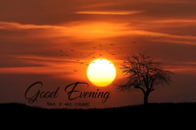 Good Evening Have A Nice Evening - Good Morning Images, Quotes, Wishes, Messages, greetings & eCard Images