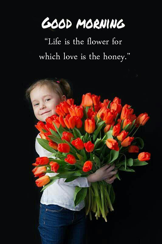 Good Morning Love Bouquet Flowers - Good Morning Images, Quotes, Wishes, Messages, greetings & eCard