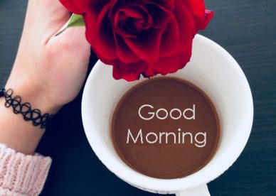 Good Morning Messages Lover - Good Morning Images, Quotes, Wishes, Messages, greetings & eCard Images