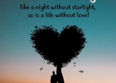 Romantic Good Evening Images - Good Morning Images, Quotes, Wishes, Messages, greetings & eCard Images
