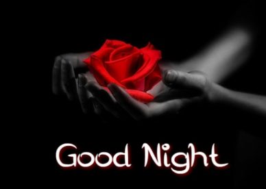 Good Night Images Flowers - Good Morning Images, Quotes, Wishes, Messages, greetings & eCard Images