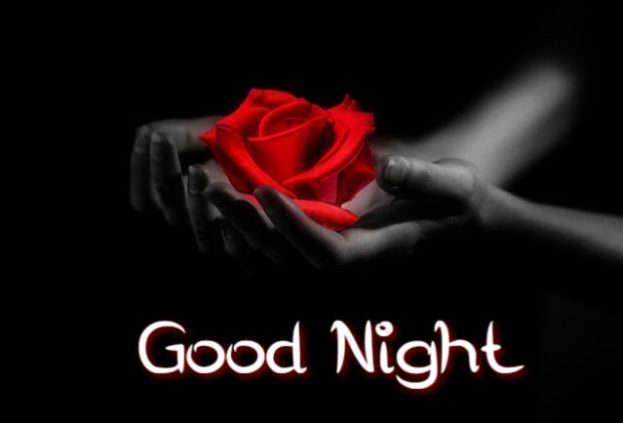 Good Night Images Flowers - Good Morning Images, Quotes, Wishes, Messages, greetings & eCard Images