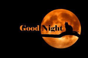 New Good Night Hd Photos - Good Morning Images, Quotes, Wishes
