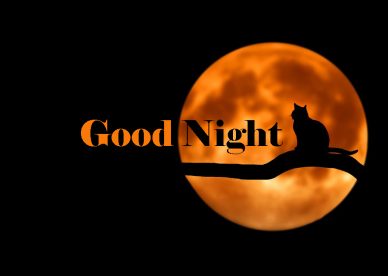 New Good Night HD Photos - Good Morning Images, Quotes, Wishes, Messages, greetings & eCard Images
