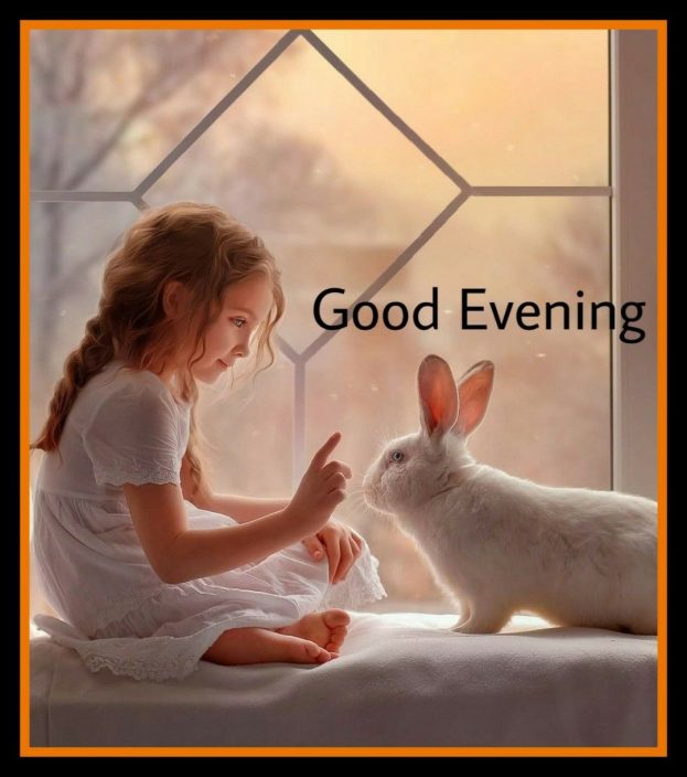 Nice Evening Images - Good Morning Images, Quotes, Wishes, Messages, greetings & eCard Images