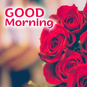 Best Good Morning flowers Images for IOS and Android - Good Morning ...