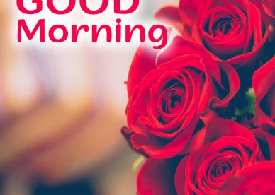 Best Good Morning flowers Images for IOS and Android - Good Morning Images, Quotes, Wishes, Messages, greetings & eCard Images