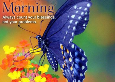 Download Beautiful Good Morning Quotes Images - Good Morning Images, Quotes, Wishes, Messages, greetings & eCard Images