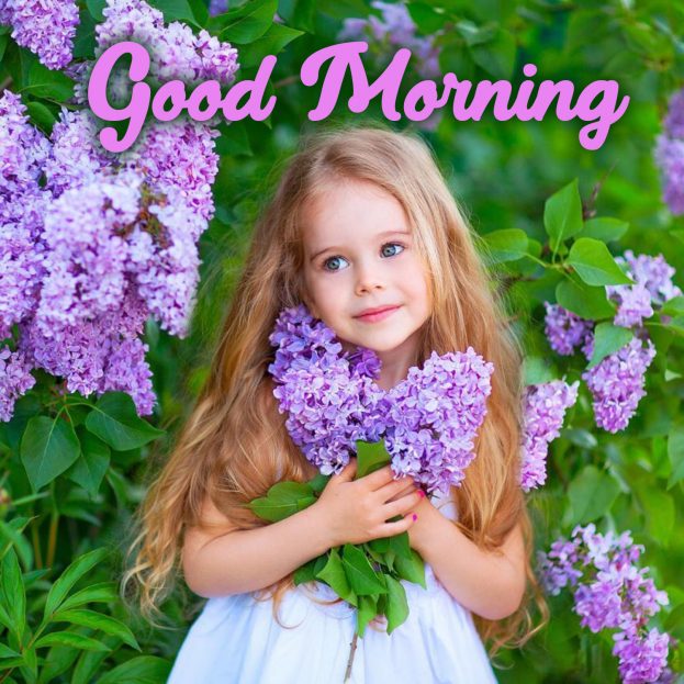Make your partner's morning lovely with Good Morning flowers Images