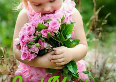 Send beautiful Good Morning messages with Flowers Images - Good Morning Images, Quotes, Wishes, Messages, greetings & eCard Images