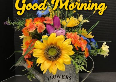 Start your lovely day with gorgeous Good Morning flowers Images - Good Morning Images, Quotes, Wishes, Messages, greetings & eCard Images