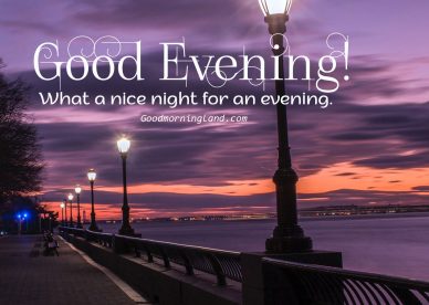 Appreciate your friends by sending lovely Good Evening Images - Good Morning Images, Quotes, Wishes, Messages, greetings & eCard Images