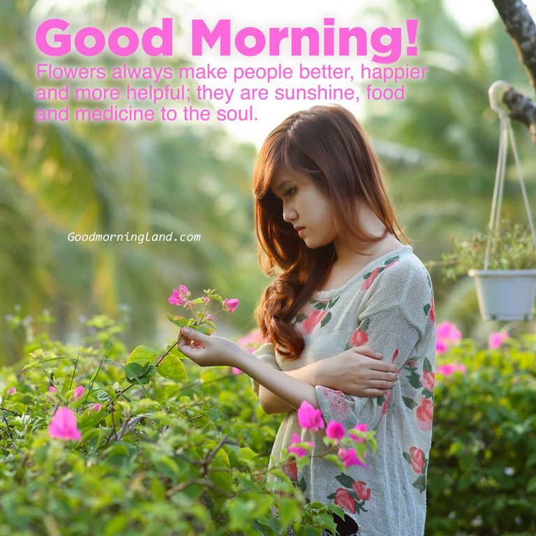 Awesome and Good morning flowers with images - Good Morning Images ...