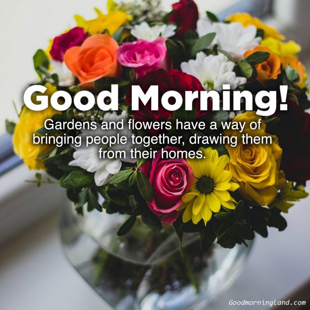 Beautiful and Amazing Good morning flowers with images - Good Morning Images, Quotes, Wishes, Messages, greetings & eCard Images