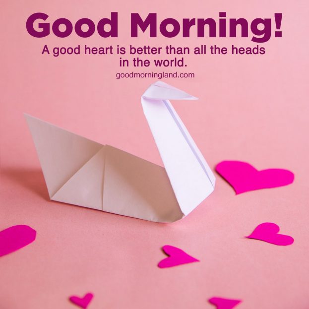 Brighten up the mornings by sending Good Morning Hearts Images - Good Morning Images, Quotes, Wishes, Messages, greetings & eCard Images