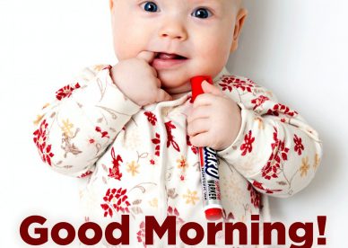 Brighten up your friends day with Good Morning funny images - Good Morning Images, Quotes, Wishes, Messages, greetings & eCard Images