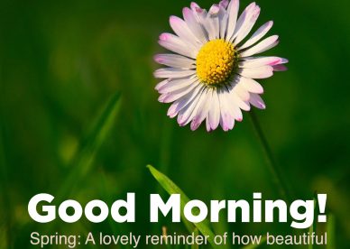 Cute Good morning flowers with images - Good Morning Images, Quotes, Wishes, Messages, greetings & eCard Images