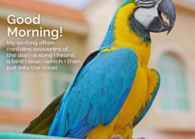 Cute and Lovely Good Morning Birds Images for you - Good Morning Images, Quotes, Wishes, Messages, greetings & eCard Images