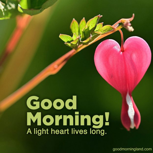 Cute and decent Good Morning Hearts Images - Good Morning Images, Quotes, Wishes, Messages, greetings & eCard Images