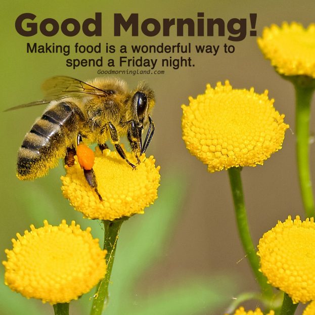 Download love Good morning Friday images - Good Morning Images, Quotes, Wishes, Messages, greetings & eCard Images