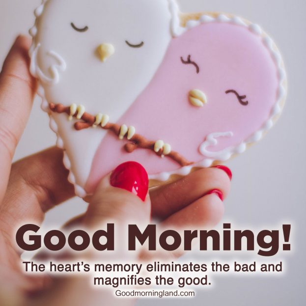 Download the most amazing Good Morning Hearts Images - Good Morning Images, Quotes, Wishes, Messages, greetings & eCard Images