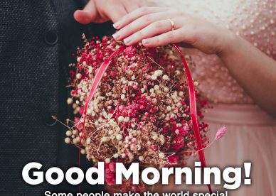 Download the most amazing Good Morning love flower Images - Good Morning Images, Quotes, Wishes, Messages, greetings & eCard Images