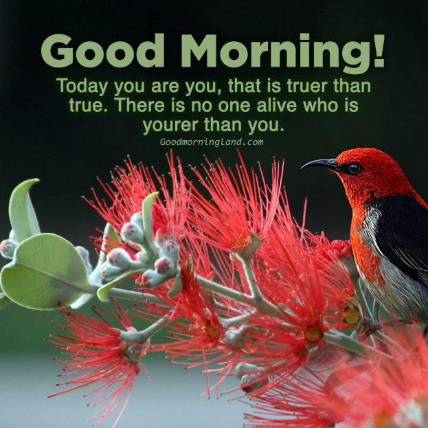 Enjoy beautiful Friday by sharing Good morning Friday images - Good Morning Images, Quotes, Wishes, Messages, greetings & eCard Images