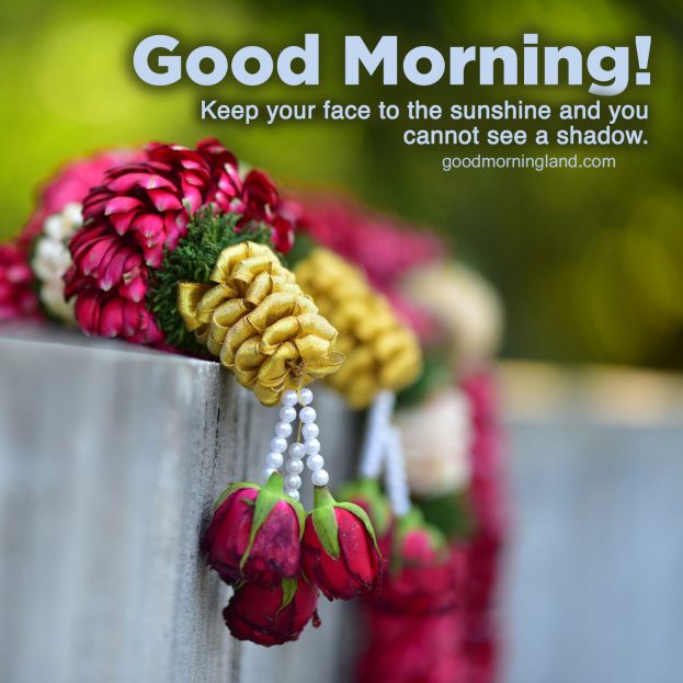 Good Morning message Images for husband and wife - Good Morning Images, Quotes, Wishes, Messages, greetings & eCard Images