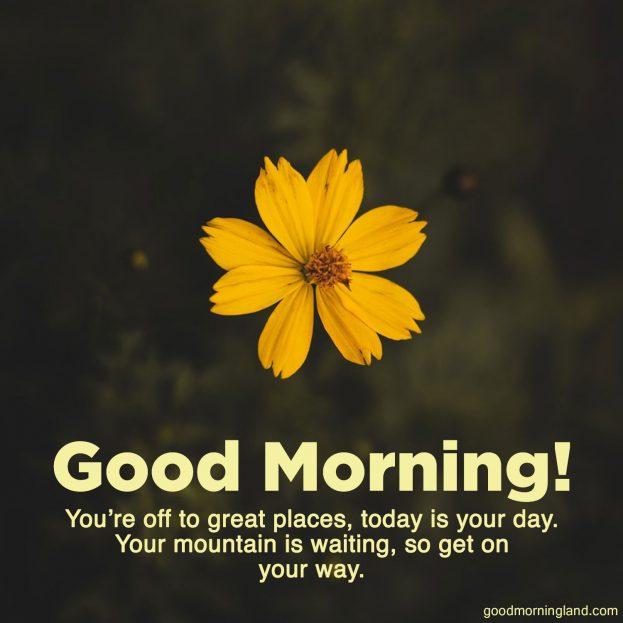 Good Morning message Images for your spouse - Good Morning Images, Quotes, Wishes, Messages, greetings & eCard Images