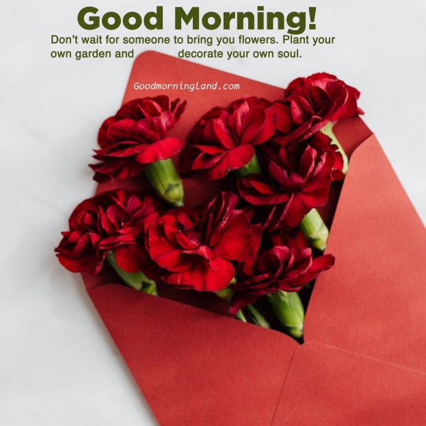 Latest 2020 Good morning flowers with images - Good Morning Images, Quotes, Wishes, Messages, greetings & eCard Images